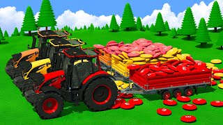 M&M Candies Hauling with Valtra Tractors 🍬🚜 | Farming Simulator Challenge