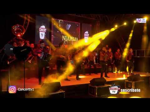 Banda Culiacancito en vivo 2020