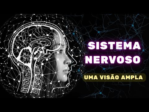 Nervous System (a broad overview) - Human Physiology