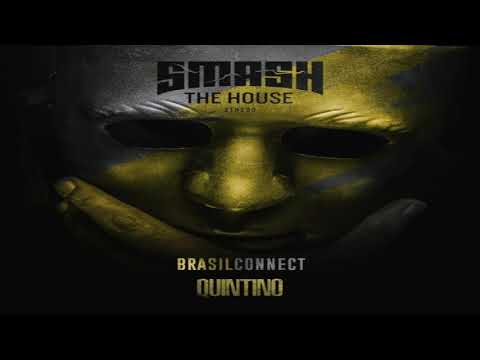 Quintino- Brasil connect (ESSER EDIT)