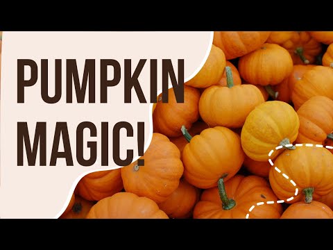 Pumpkin Power The Autumnal Secret to Radiant Skin and Nature's Answer to Ageless Beauty