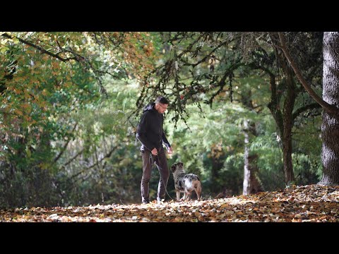 Brand Video KindredPDX