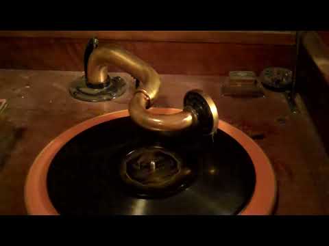 TED WEEMS PARKER GIBBS - EVERYBODY LOVES MY GIRL - ROARING 20's VICTROLA 8-30