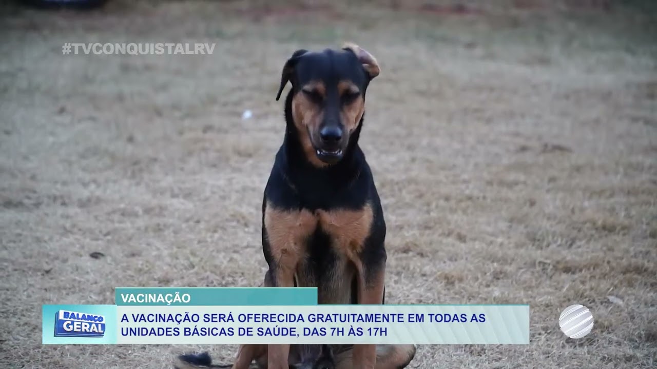O dia de vacinar cães e gatos está chegando e o município irá disponibilizar doses da vacina contra a raiva.