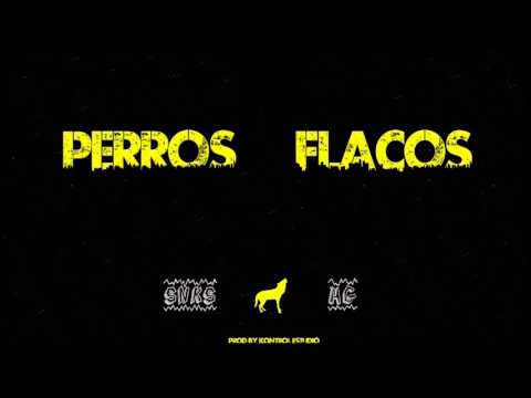 HG X SNKS - PERROS FLACOS
