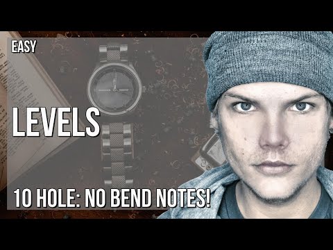 How to play Levels by Avicii on Diatonic Harmonica 10 Holes (Tutorial)