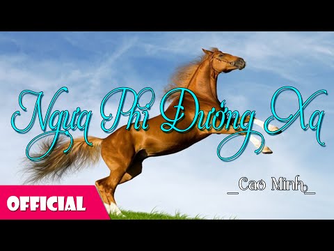 Ngựa phi đường xa - Cao Minh