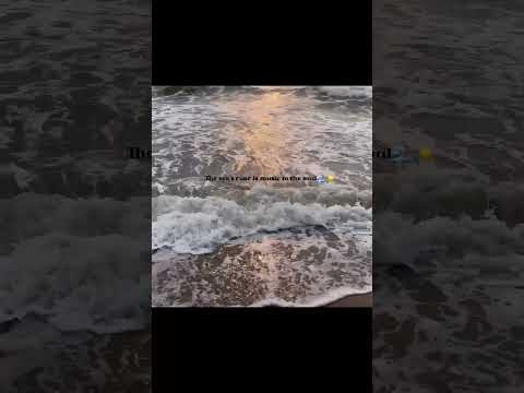 ☀️#newinfluencer #beach #viralshorts #quotes