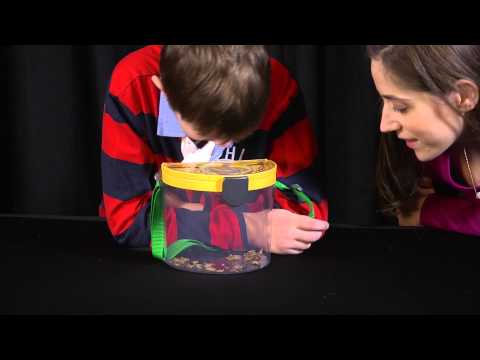 Backyard Safari MAGNA BUCKET 0T2409704