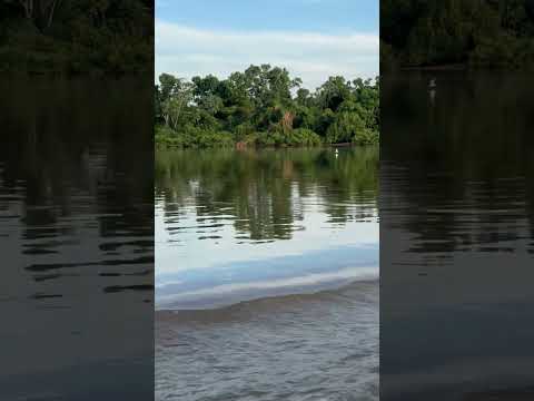 Rio Araguaia Aruanã Goiás #pescaria #youtubeshorts #pesca #shorts #shortvideos