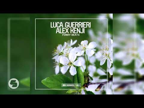 Luca Guerrieri & Alex Kenji - Fonky Beats (TEASER)