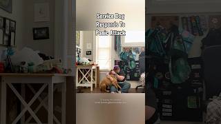 Service Dog Responds To Anxiety Attack