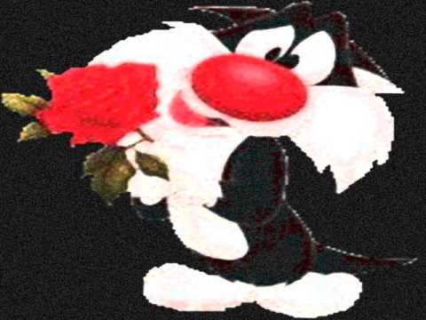 el gato bajo la lluvia - noche caliente