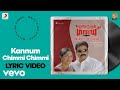 Inspector Garud - Kannum Chimmi Chimmi Lyric | Alex Paul | Dileep, Kavya Madhavan
