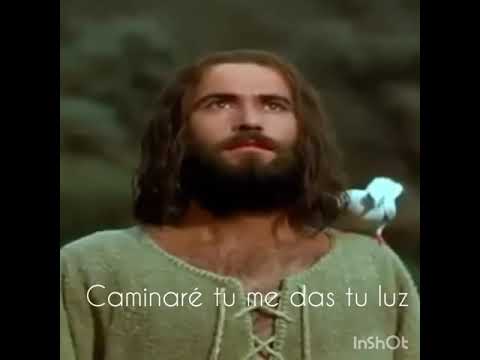 Caminaré video
