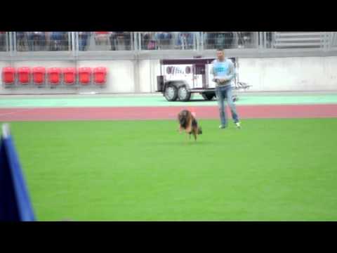 TSB - BSZS 2014 - 1027 Mentos v  Osterberger Land