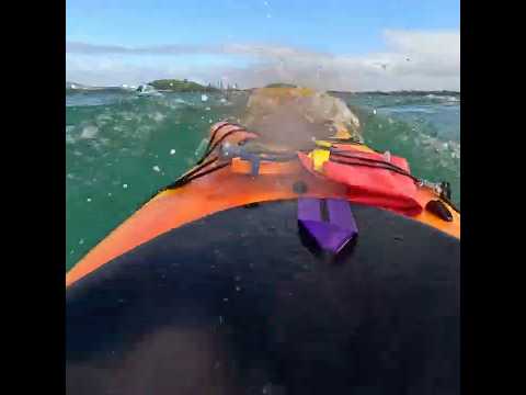 Windy paddle #seakayaking #roughsea #kayaker #newzealand