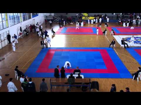 karate - gara internazionale fijlkam 2011