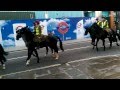 HORSE S RIDING ON CENTRAL LONDON STREET