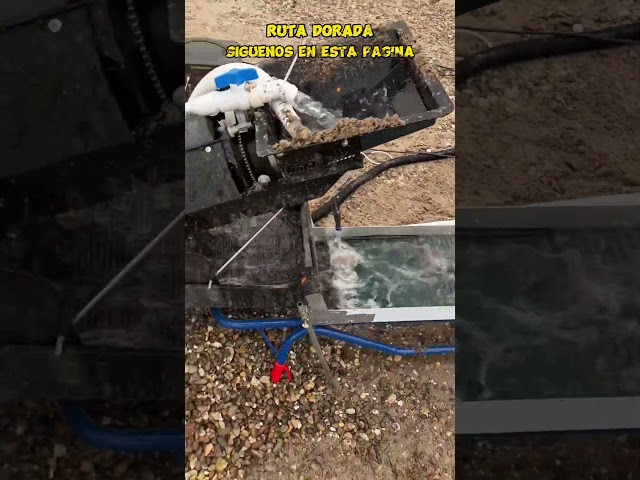 Vídeo relacionado con Kit de prospección de Oro - Herramientas metálicas portátiles de 11,81 Pulgadas - Kit de Barrido de Oro, Juego de Barrido más Musgo minero | de esclusa Entre Lago, río y Uso de Arroyo: de exp