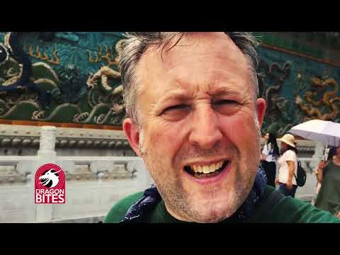 The Dragon Detective - Dragon Bite #16 The Chinese wall of Dragons