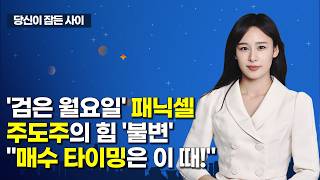 [MTN 당잠사] '검은 월요일' 패닉셀 주도주의 힘 '불변' "매수 타이밍은 이 때!" / 머니투데이방송 …