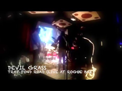 Devil Grass - Trap Pond Road (Live at Rogue Bar)