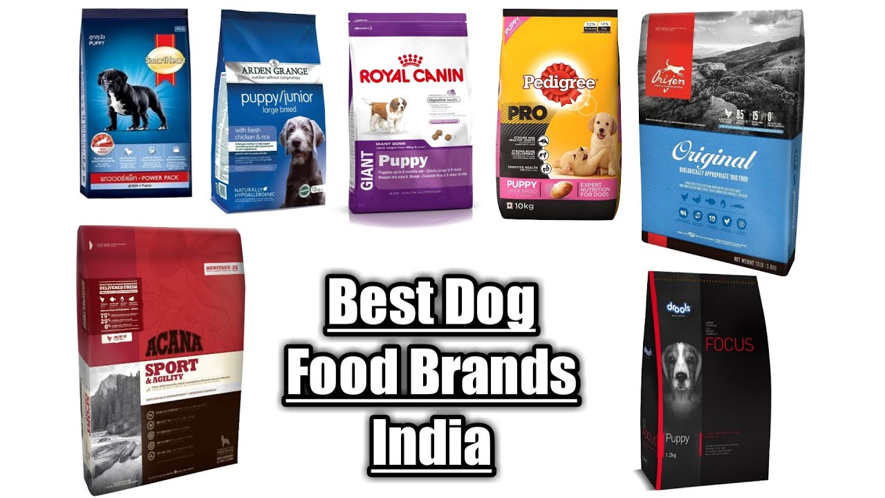 Best Dog Food Brands In India In Detail #BarodaPetWorld