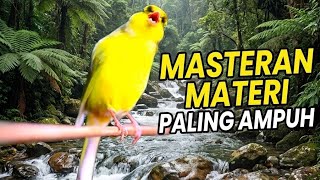 Download lagu Masteran kenari isian super mewah  mp3