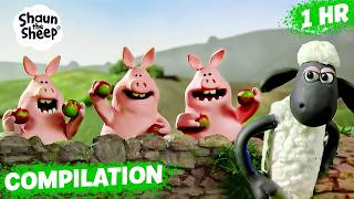 Download lagu NAUGHTY PIGS VS. SHAUN 😁🐽 | Shaun the Sheep 🐑 mp3