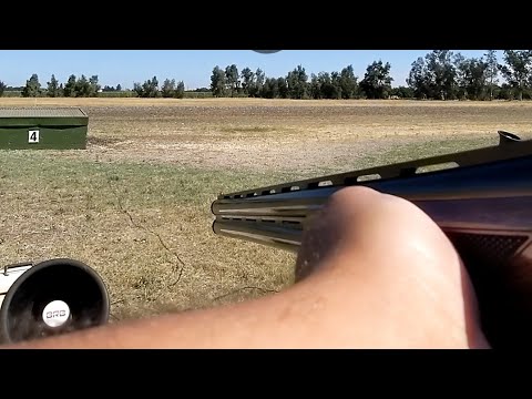 Speed Shooting the Tristar Setter