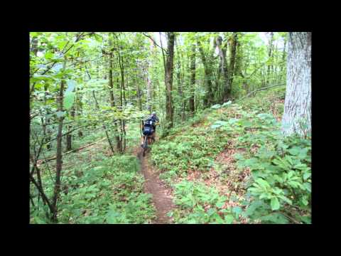 MOUNTAIN BIKE PAVULO NEL FRIGNANO MODENESE DEL 03-08-2014