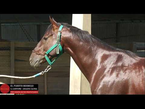 33 EL PUERTO BERMEJO