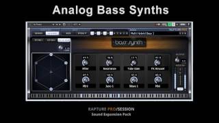 Digital Sound Factory - Analog Bass Synths