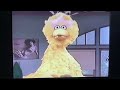 Sesame Street Get Up And Dance High Tone