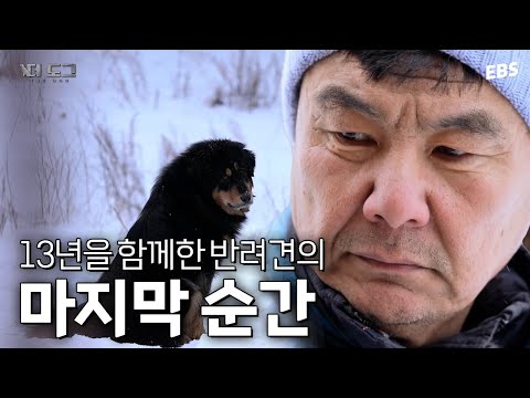 몽골인은 강아지의 죽음을 슬퍼하지 않는다