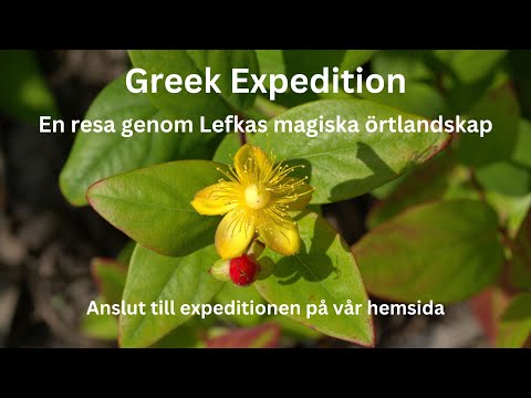 Grekiska örter: En doftande resa till Lefkas/Lefkada (del 1)