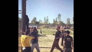 Staffy Maria RoyalDogs