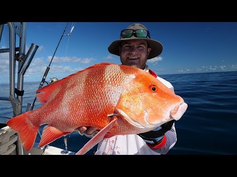 1770 RED EMPEROR HEAVEN | Part 1