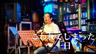 こわれてしまった一日 (友部正人) 【ギター弾き語り】