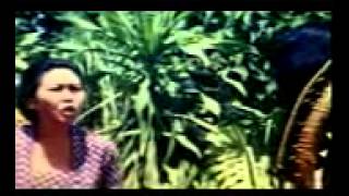Download lagu 13  STF PENGORBANAN mp3
