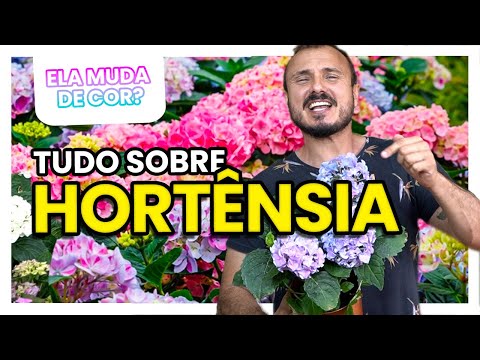 HORTENSIAS: Dicas de como CULTIVAR e fazer ela mudar de cor
