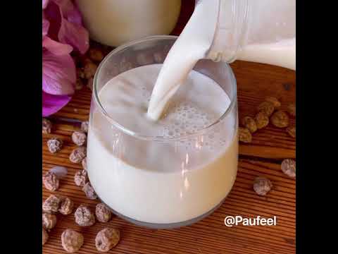 HORCHATA CASERA SIN AZÚCAR!!! EN SOLO 5 MINUTOS!