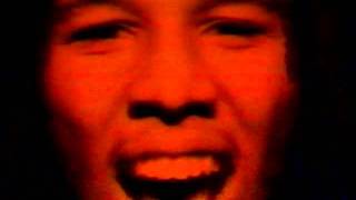 Ziggy Marley & The Melody Makers - Kozmik video