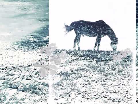 Youtube Video lIdsol8hV2o