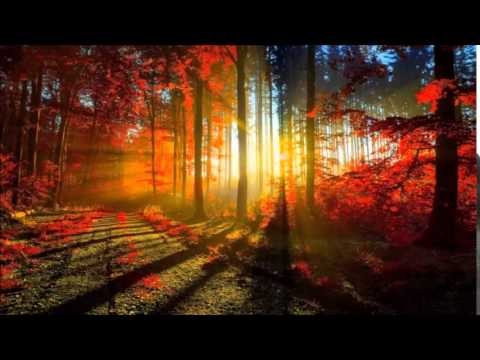 Miza feat. Noluthando - Feeling (Tsonga Sou'lite's Deep'n Our Heart Bootleg)