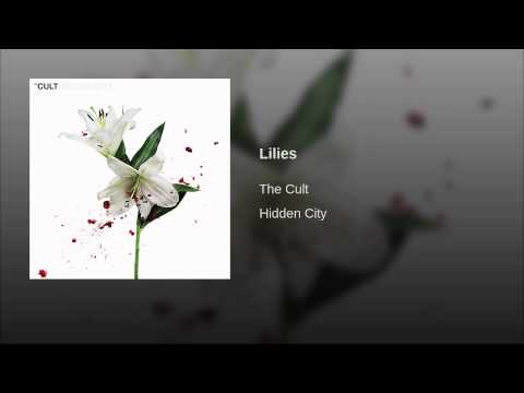 Video thumbnail for Lilies