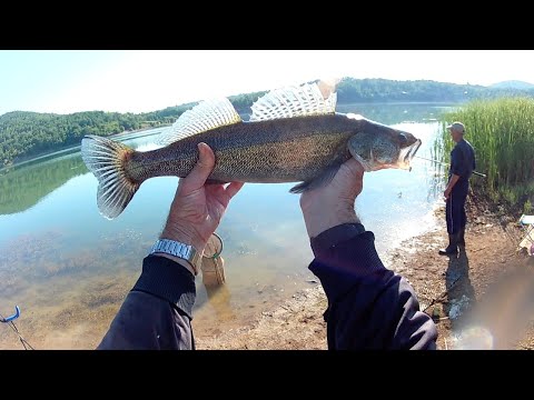 RIBOLOV SA BOBANOM DO SMUDJA PREKO BODORKE BABUSKE i DEVERIKE - 4K VIDEO