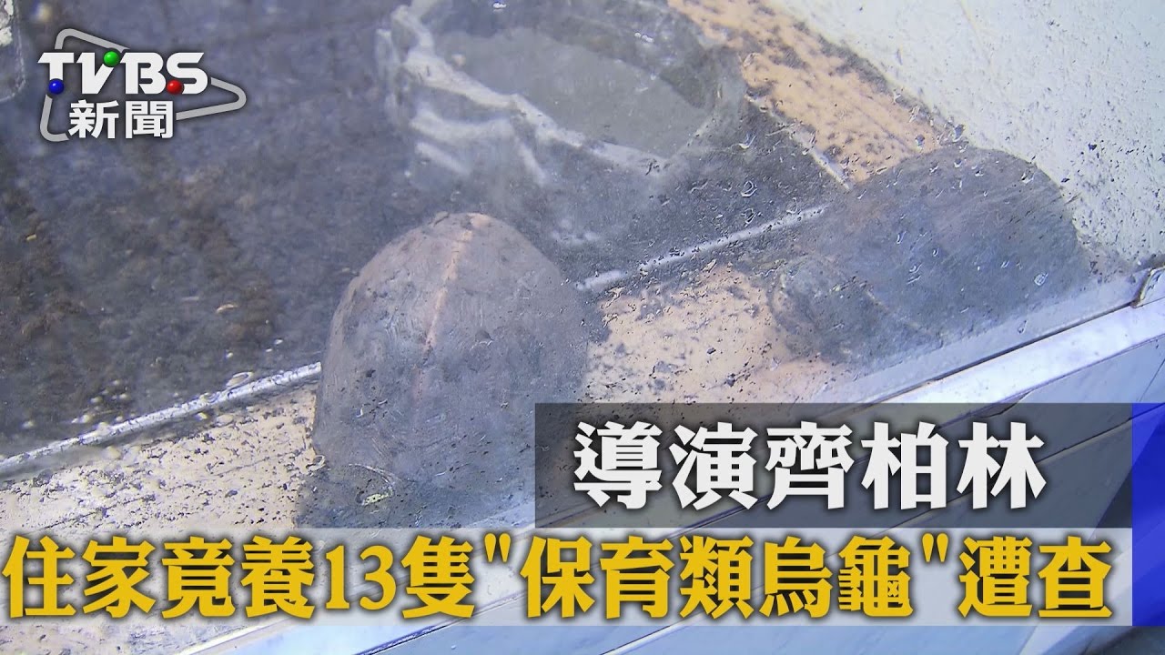 被檢舉養13隻「保育類烏龜」 導演齊柏林住家遭查