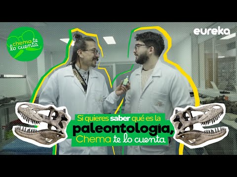 Así es ser paleontólogo o paleontóloga por un día 